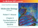 Lecture Molecular biology (Fifth Edition): Chapter 6 - Robert F. Weaver