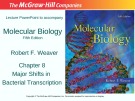 Lecture Molecular biology (Fifth Edition): Chapter 8 - Robert F. Weaver