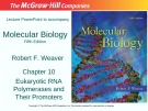 Lecture Molecular biology (Fifth Edition): Chapter 10 - Robert F. Weaver