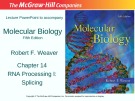 Lecture Molecular biology (Fifth Edition): Chapter 14 - Robert F. Weaver