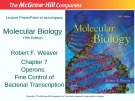 Lecture Molecular biology (Fifth Edition): Chapter 7 - Robert F. Weaver