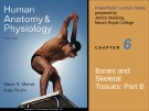 Lecture Human anatomy and physiology - Chapter 6: Bones and skeletal tissues (part b)