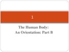 Lecture Human anatomy and physiology - Chapter 1: The human body: An orientation (part b)