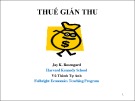 Bài giảng Thuế gián thu - Jay K. Rosengard
