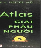 Tìm hiểu về Atlas giải phẫu người (2013): Phần 2