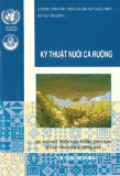 Hướng dẫn kỹ thuật nuôi cá ruộng