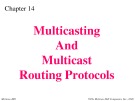 Lecture TCP-IP protocol suite - Chapter 14: Multicasting and multicast routing protocols