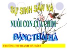 Bài giảng Sự sinh sản và nuôi con của chim - Đặng Thái Hà