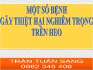 Bài giảng Một số bệnh gây thiệt hại nghiêm trọng trên heo - Trần Tuấn Sang