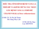 Báo cáo tốt nghiệp: Điều tra tình hình bệnh vàng lá thối rễ và kiểm chứng tác nhân gây bệnh vàng lá thối rễ chanh Volka (Citrus volkarmeriana)