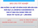 Báo cáo tốt nghiệp: Ảnh hưởng của một số nông dược đến sâu non ruồi đục lá Liriomyza huidobrensis và ong ký sinh của chúng trên cây khoai tây tại Đà Lạt - Lâm Đồng