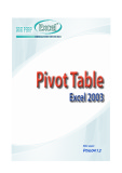 Pivot Table Excel 2003