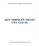 Tìm hiểu về quy trình Kỹ thuật cao su: Phần 2