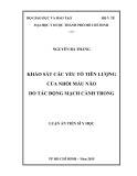 Luận án Tiến sĩ Y học: Khảo sát các yếu tố tiên lượng của nhồi máu não do tắc động mạch cảnh trong