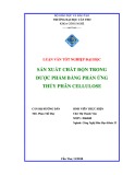 Luận văn tốt nghiệp: Sản xuất chất độn trong dược phẩm bằng phản ứng thủy phân cellulose