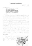 Bài giảng Viêm ruột thừa trẻ em - ThS. BS. Tạ Huy Cần