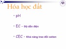 Bài giảng Khoa học đất (Ngành Quản lý đất đai) - Chương 6 (1): Hóa học đất