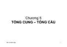 Bài giảng Chương 5: Tổng cung, tổng cầu - Trần Thị Minh Ngọc