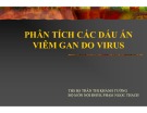 Bài giảng Phân tích các dấu ấn viêm gan do Virus - THS. BS Trần Thị Khánh Tường