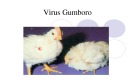 Bài giảng Virus học thú y: Virus Gumboro - PGS.TS. Nguyễn Bá Hiên