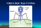 Bài giảng Vi sinh vật học đại cương (Microbiologie): Chương 3 - PGS. TS. Nguyễn Bá Hiên