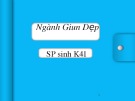 Bài thuyết trình: Ngành giun dẹp