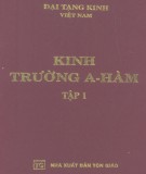 Kinh tạng Phật giáo - Kinh trường A-Hàm (Tập 1): Phần 1