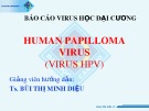 Báo cáo Virus học đại cương: Human Papillomavirus (Virus HPV)