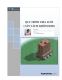 Bài giảng Quy trình chia lưới (sàn vách - khối solid) - Trần Huy Thắng