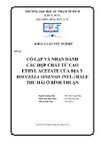 Khóa luận tốt nghiệp Hóa hữu cơ: Cô lập và nhận danh các hợp chất từ cao ethyl acetate của địa y Roccella Sinensis (nyl.) Hale thu hái ở Bình Thuận