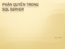 Bài giảng Hệ quản trị cơ sở dữ liệu: Phân quyền trong SQL server - Phan Hiền