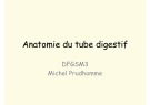 Anatomie du tube digestif