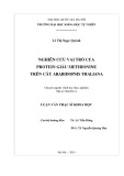 Tóm tắt Luận văn Thạc sĩ Khoa học: Nghiên cứu vai trò của protein giàu methionine trên cây Arabidopsis thaliana