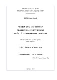 Luận văn Thạc sĩ Khoa học: Nghiên cứu vai trò của protein giàu methionine trên cây Arabidopsis thaliana