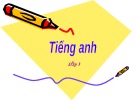 Bài giảng Tiếng Anh Lớp 3: Study animals - Học về các con vật