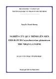Luận văn Thạc sĩ Sinh học: Nghiên cứu quá trình lên men FED-BATCH Corynebacterium glutamicum thu nhận L-lysine