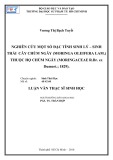 Luận văn Thạc sĩ Sinh học: Nghiên cứu một số đặc tính sinh lý – sinh thái cây chùm ngây (Moringa Oleifera Lam.) thuộc họ chùm ngây (Moringaceae r.br. ex dumort.; 1829)