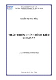 Luận văn Thạc sĩ Toán học: Thác triển chỉnh hình kiểu Riemann