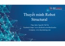 Thuyết minh Robot Structural