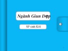 Thảo luận nhóm: Ngành Giun Dẹp