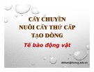 Bài giảng Cấy chuyền nuôi cấy thứ cấp tạo dòng tế bào động vật