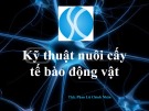 Bài giảng Kỹ thuật nuôi cấy tế bào động vật