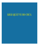 Bài giảng Mô hình hồ chứa