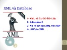 Bài giảng Lập trình hướng đối tượng - XML và Database
