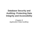 Lecture Database security and auditing - Protecting data integrity and accessibility - Chapter 8: Application Data Auditing