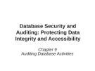 Lecture Database security and auditing - Protecting data integrity and accessibility - Chapter 9: Application Data Auditing