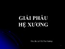 Bài giảng Giải phẫu hệ xương - ThS. Bs. Lê Thị Thu Hương