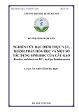 Luận án Tiến sĩ Dược học: Nghiên cứu đặc điểm thực vật, thành phần hóa học và một số tác dụng sinh học của cây Gạo Bombax malabaricum DC., họ Gạo Bombacaceae