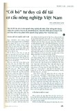 "Cởi bỏ" tư duy cũ để tái cơ cấu nông nghiệp Việt Nam