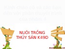 Bài thuyết trình nhóm: Vitamin tan trong chất béo